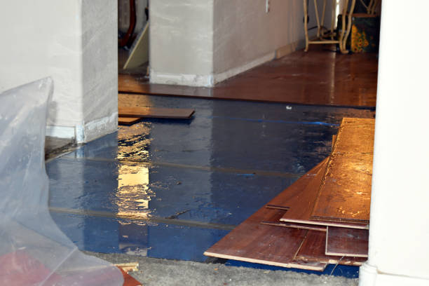 Professional Basement Water Removal technician working in Raynham, MA